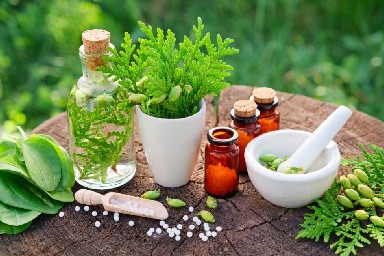 personare.com.br Homeopatia