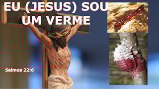 O que significa dizer que Jesus é um verme?
